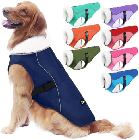 dog jackets for winter