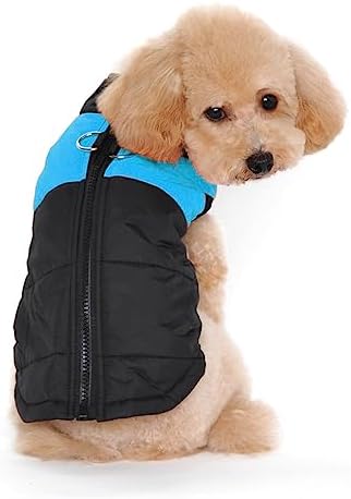 dog jackets