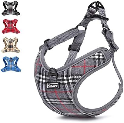 dog harness