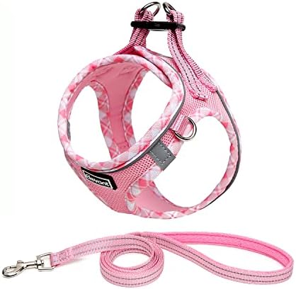 dog harness