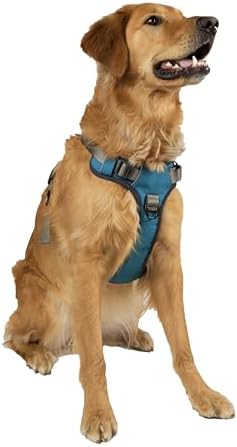 dog harness