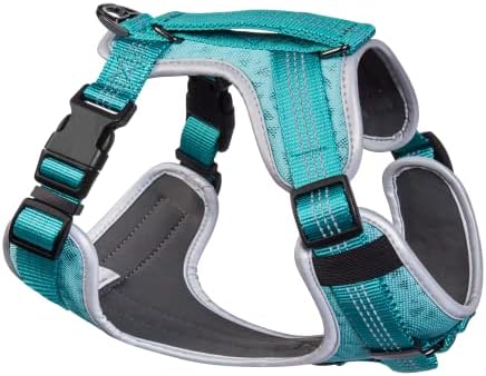 dog harness