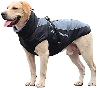 dog jackets