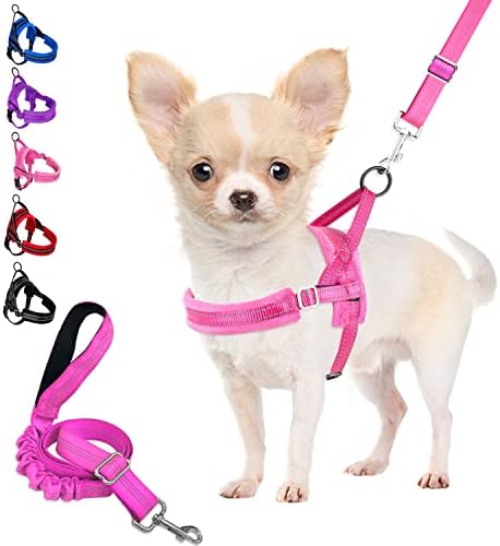 dog harness