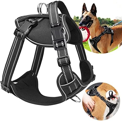 dog harness