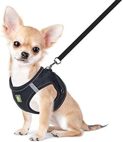 dog harness