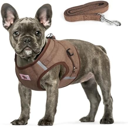 dog harness