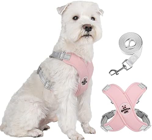 dog harness