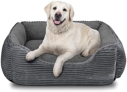 dog beds