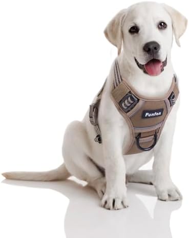 dog harness