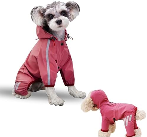 dog jackets