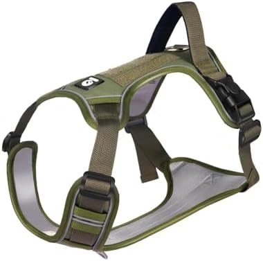 dog harness