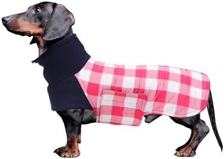 dog jackets