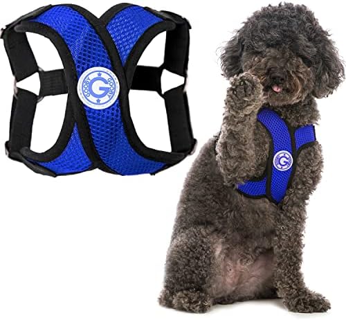 dog harness