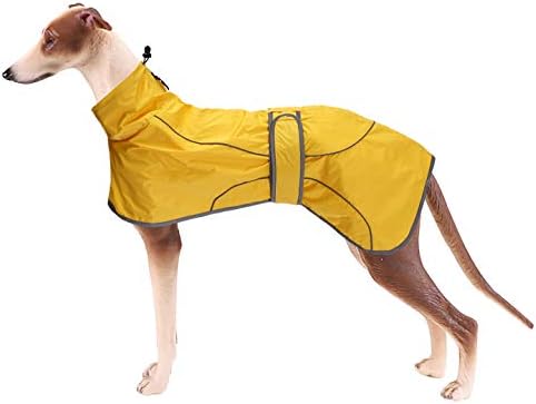 dog jackets