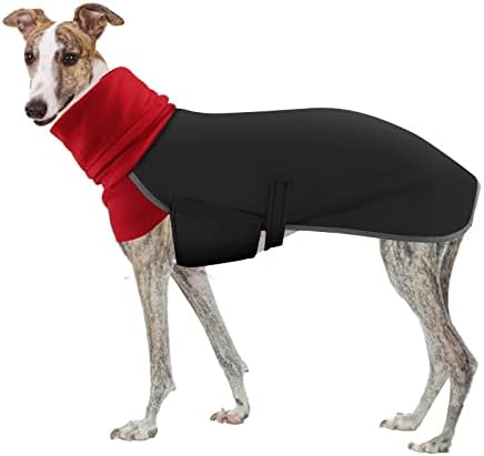 dog jackets