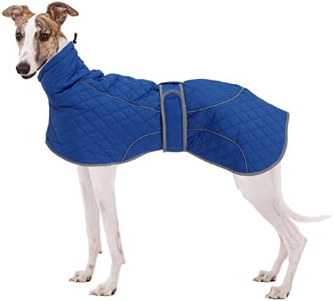 dog jackets