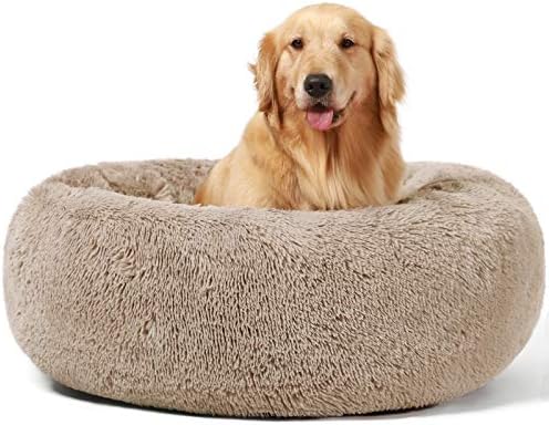 dog beds