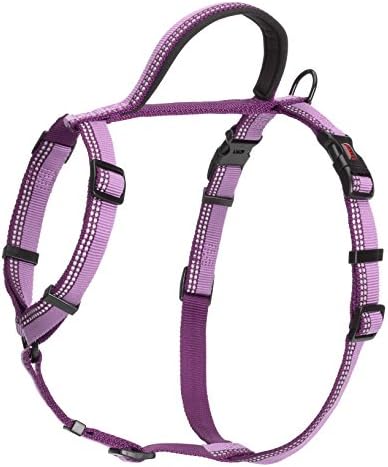 dog harness