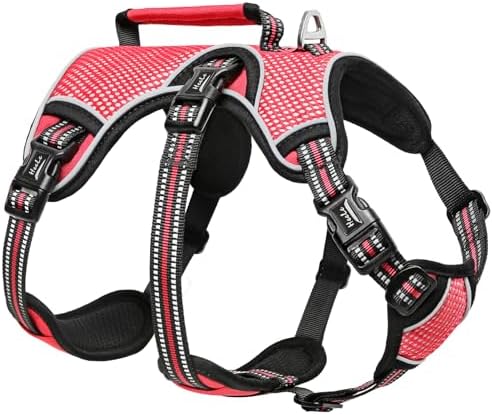 dog harness