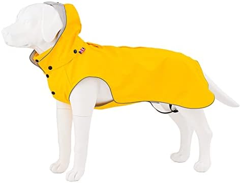 dog jackets