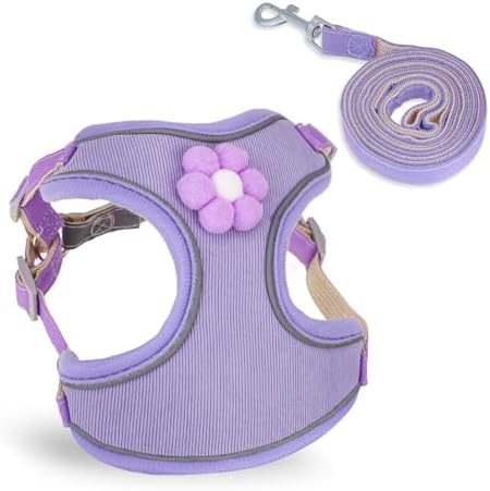 dog harness