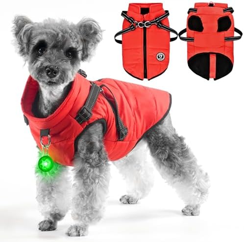 dog jackets