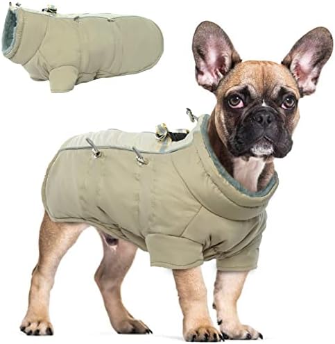 dog jackets