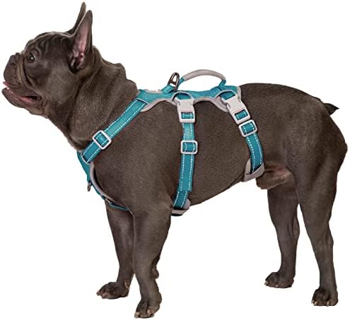 dog harness