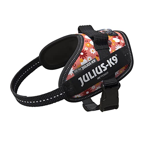 dog harness