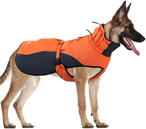 dog jackets