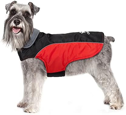 dog jackets