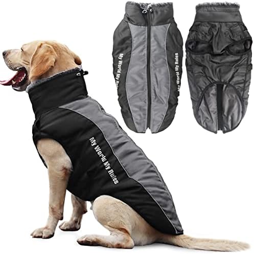 dog jackets