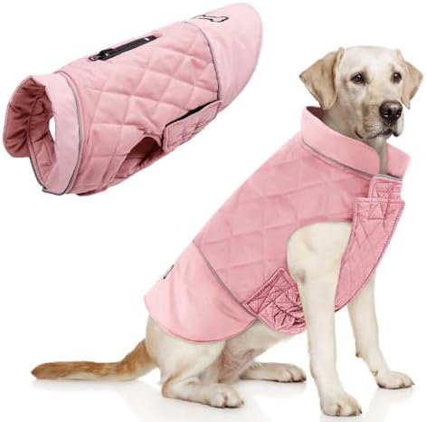 dog jackets