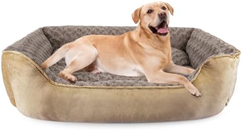 dog beds