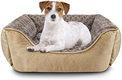 dog beds