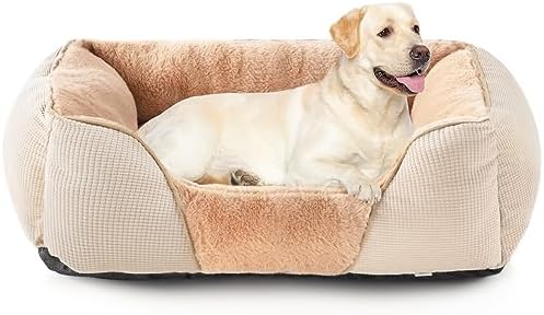 dog beds