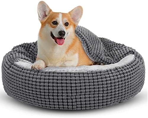 dog beds