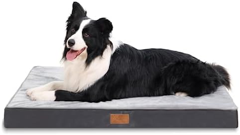 dog beds