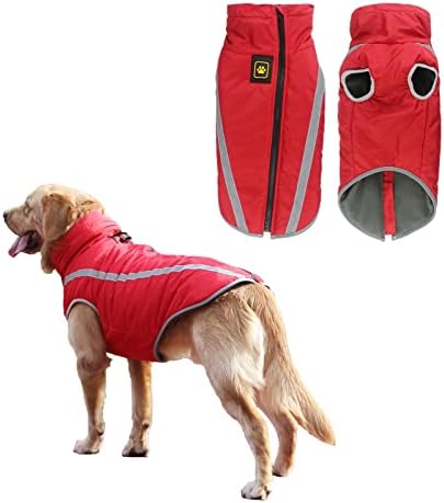 dog jackets