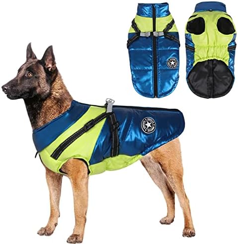 dog jackets