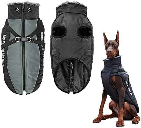 dog jackets