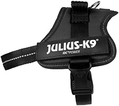 dog harness