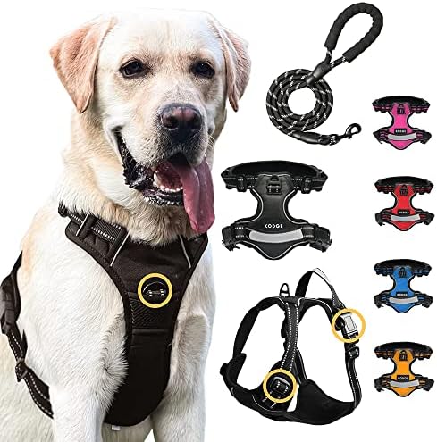 dog harness