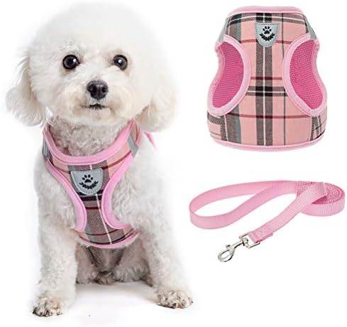 dog harness