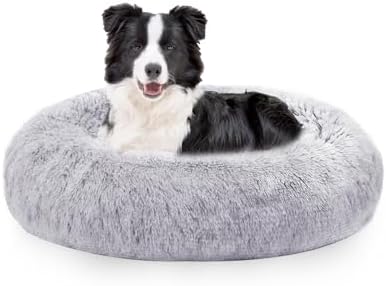 dog beds