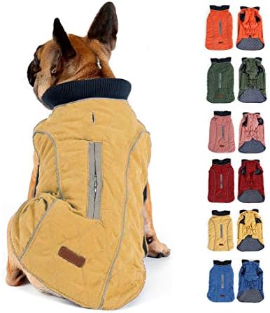 dog jackets