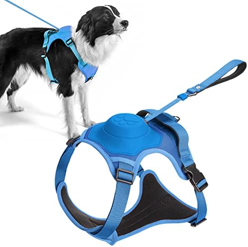 dog harness