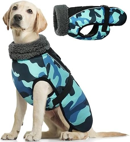 dog jackets