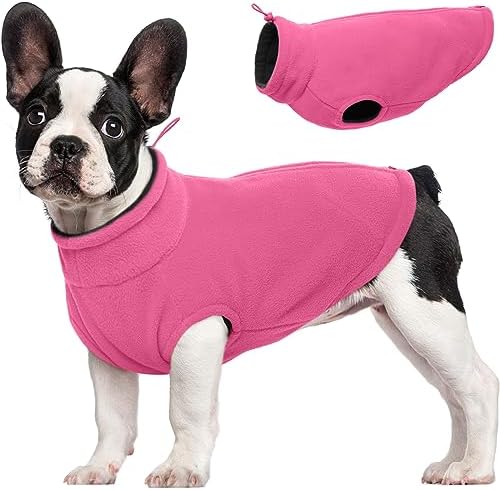 dog jackets